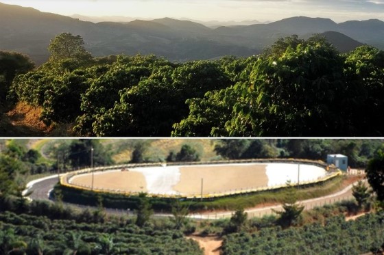 Lokalita kávové farmy Pedra Redonda v Brazílii
